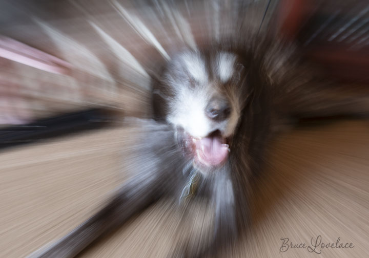 intentional zoom blur